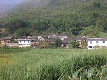 向陽自然村[雲南省永德縣永康鎮向陽自然村]