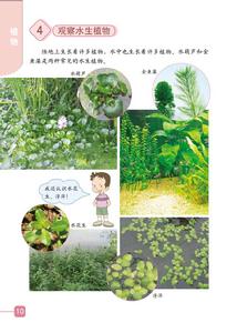 《水生植物》1