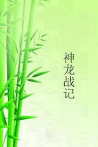 神龍戰記