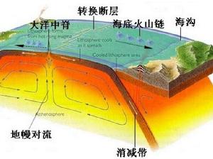 分離板塊邊界