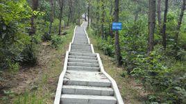 郭家河村[湖北省黃岡市羅田縣駱駝坳鎮郭家河村]