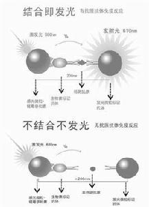 光激化學發光