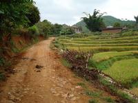 進村道路