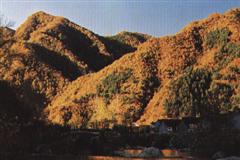 平山