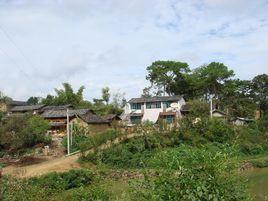 核桃村[雲南省保山市隆陽區蒲縹鎮核桃村]