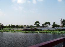 寧波日湖公園