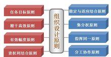 組織設計原則