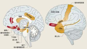 復發性抑鬱症