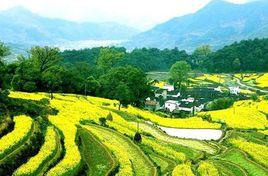 中國最美的鄉村