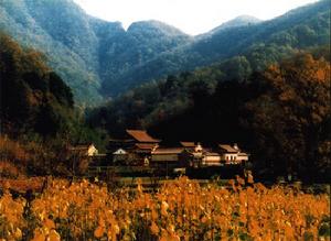 洪山寺