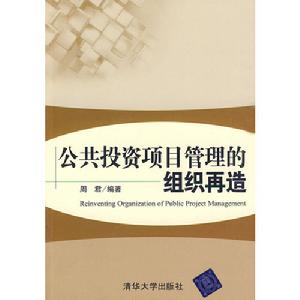 公共投資項目管理的組織再造