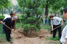 日本前駐華大使夫人植紀念樹追憶圓仁法師
