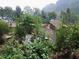 大村子村[雲南昆明市東川區烏龍鎮下轄村]