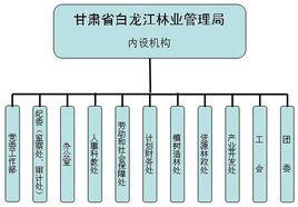 白龍江林業管理局