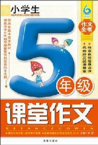 小學生5年級課堂作文