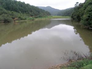 茶花箐村[安寧市青龍鎮青龍行政村下轄村]