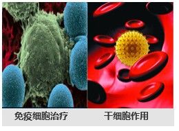 5A腫瘤生物治療體系