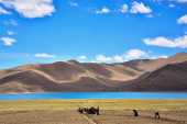 關於西藏旅行，99%的人都不知道的事兒！