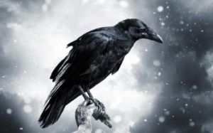 CROW[英語單詞]