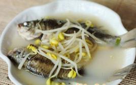 黃豆芽鯽魚湯