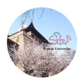 武漢大學SITS輪滑社