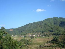 陰山自然村[雲南省昭通市彝良縣樹林鄉陰山自然村]