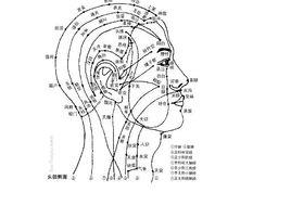 絡卻穴