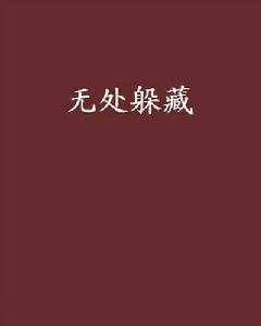 無處躲藏[小說]