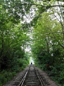 愛情隧道[橋頭集愛情隧道]