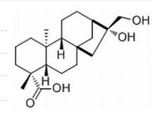 二羥基二十烷酸