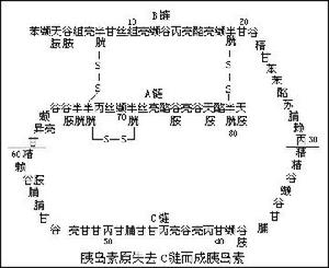 特慢胰島素鋅混懸液