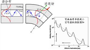 光纖損耗