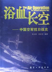 浴血長空——中國空軍抗日戰史