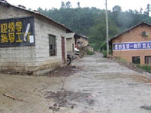 小米嘎村村道路情況