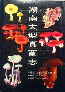 湖南大型真菌志