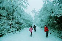 茨竹鎮雪景