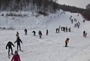 金霖森林公園滑雪場