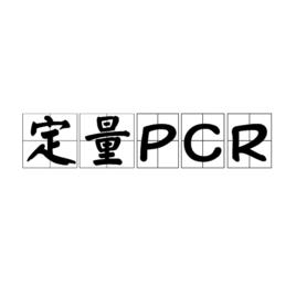 定量PCR