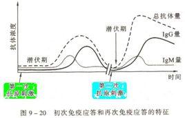 初次應答