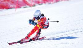 李雪瑩[中國高山滑雪運動員]