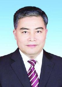 李成金[四川德陽市人民政府副市長]