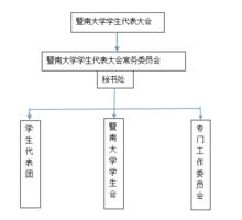 暨南大學學生代表大會組織架構