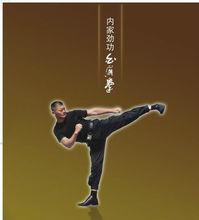 內家勁功白眉拳