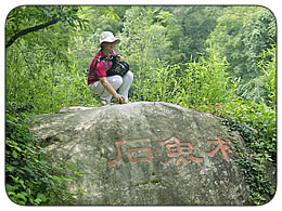 洞山木魚石