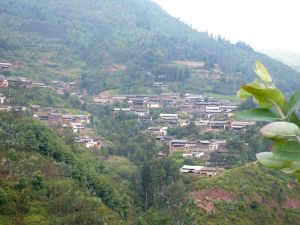 清水東村