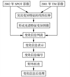 類型化