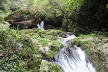 湖南兩江峽谷國家森林公園