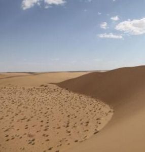 亞瑪雷克沙漠