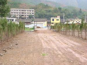 進村道路