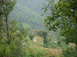 新龍村[雲南武定縣白路鄉下轄村]